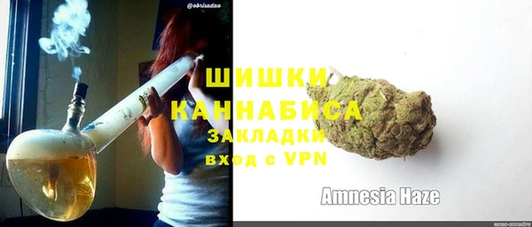 ПСИЛОЦИБИНОВЫЕ ГРИБЫ Вязьма