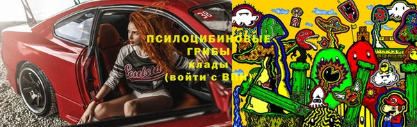 мяу мяу мука Вяземский